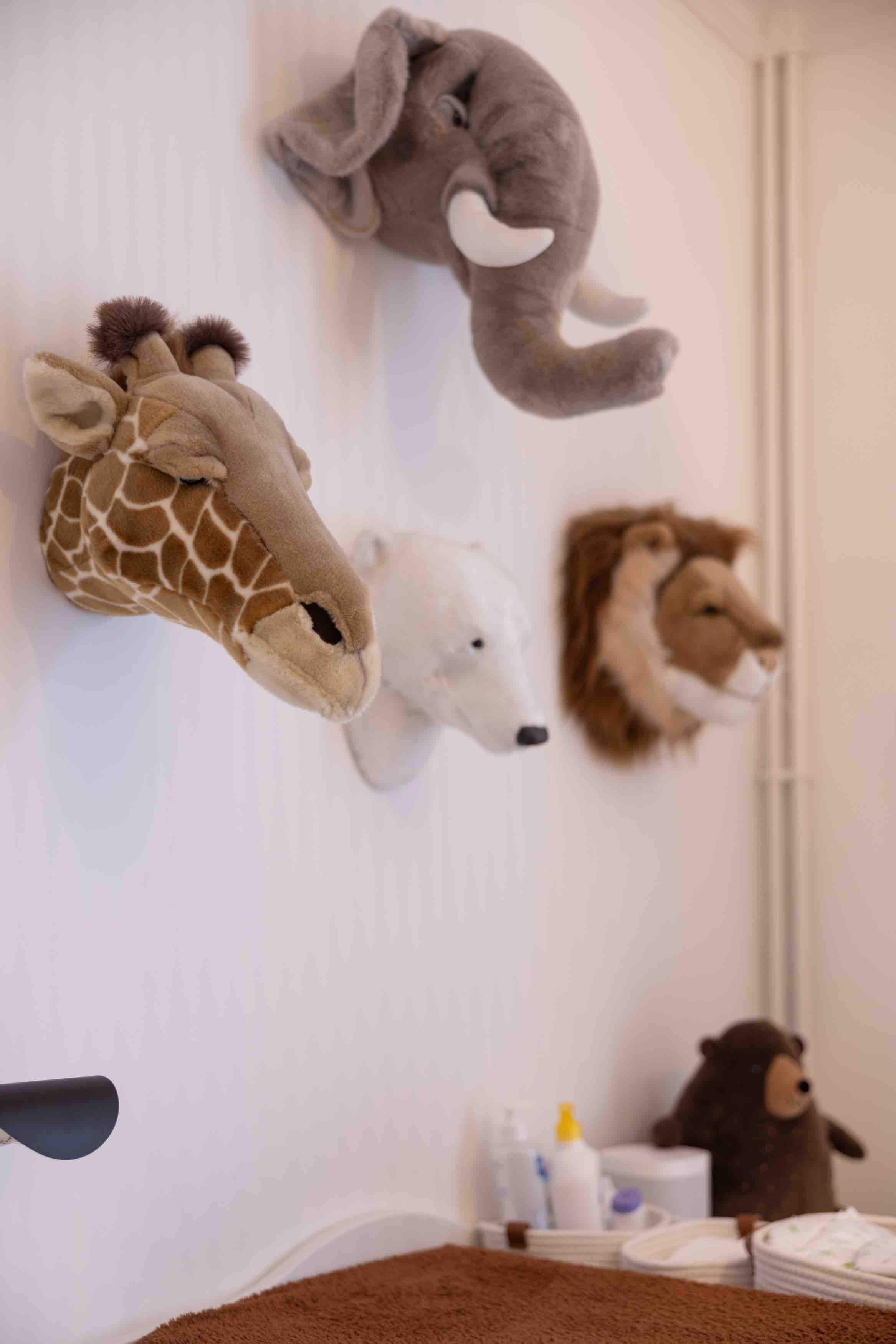 Chambre savane bébé tête animaux haussmannien